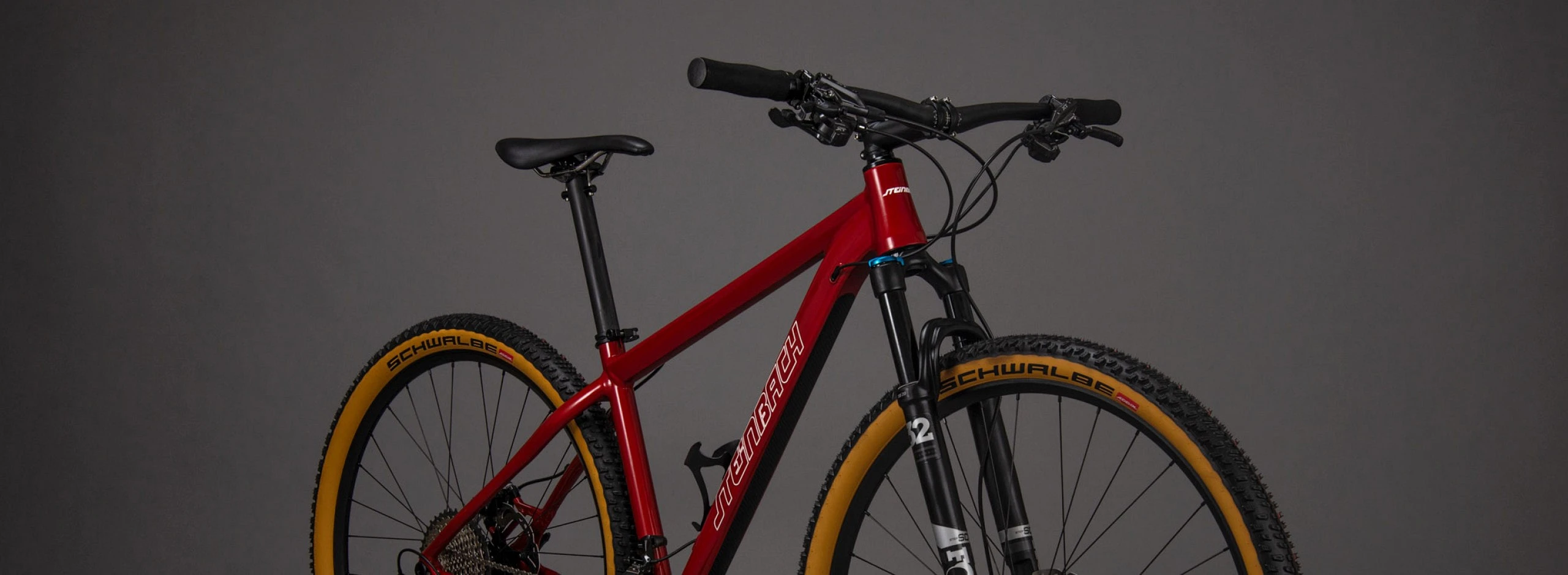 Hybrid E Bikes versteckter Motor im Sattelrohr leichte Unterstützung damit Anstiege leichter werden. Ein rotes Hardteil Rahmen Lodron in Rot mit Fox Gabel.